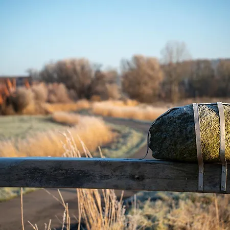 Lilli Marleen 7-14 *